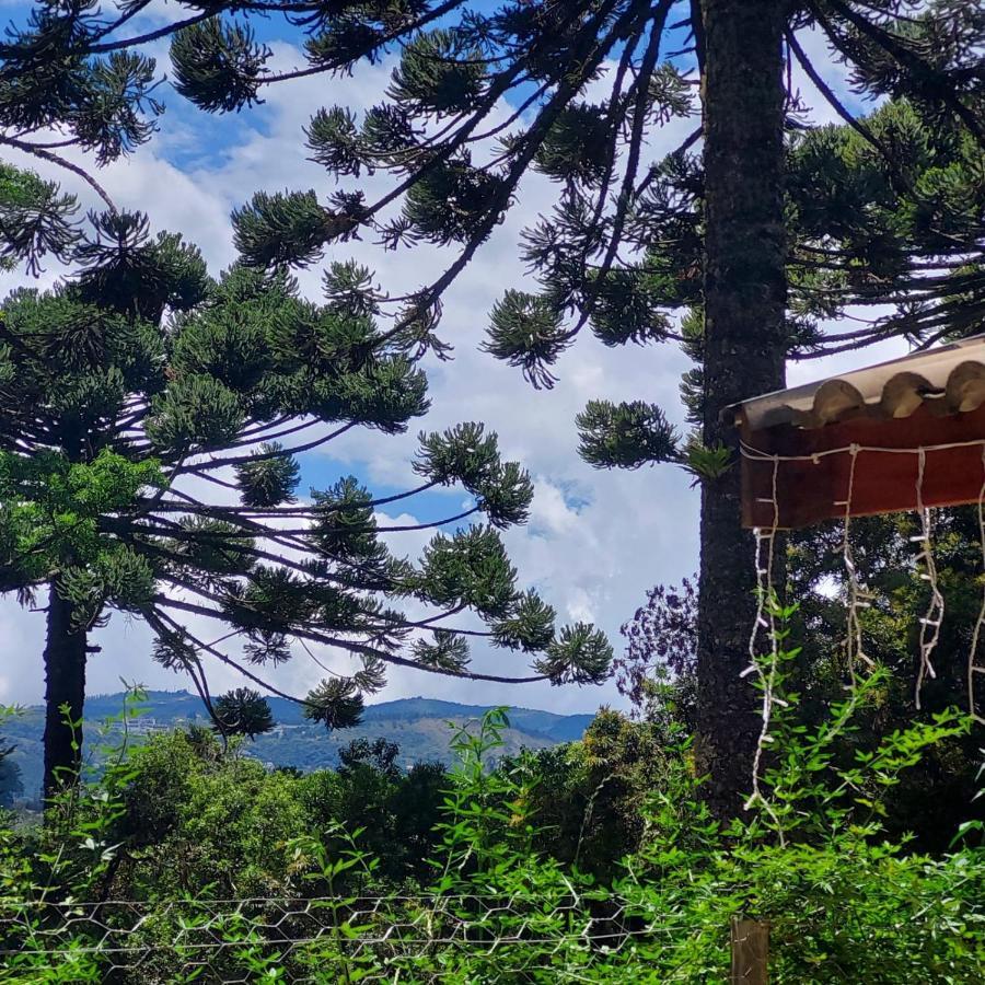 Vila Chale Rustico Na Montanha Em Campos De Jordao Campos do Jordão Exteriér fotografie